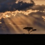 4848 Sunset, NE Serengeti, Tanzania