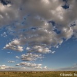 4896 The Endless Plains of the Serengeti, Tanzania