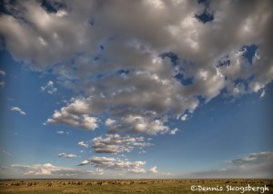 4896 The Endless Plains of the Serengeti, Tanzania