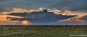 4897 Sunset, Serengeti, Tanzania