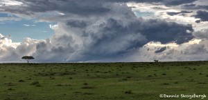 4913 Storms on the Serengeti, Tanzania