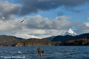 5184 China Poot Bay, Alaska