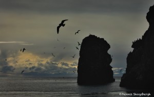 5270 Kachemak Bay, Homer, Alaska