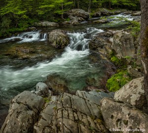 5295 Greenbriar Cascade, Spring, Great Smoky Mountain National Park, TN