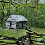 5301 Jim Bales Historic Cabin, Spring, Great Smoky Mountains National Park, TN