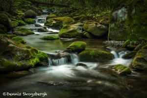 5303 Cascade, Spring, Great Smoky Mountains National Park, TN