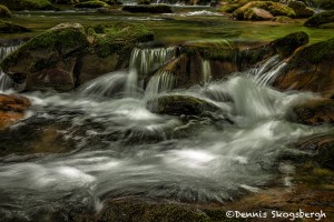 5304 Cascade, Spring, Great Smoky Mountains National Park, TN