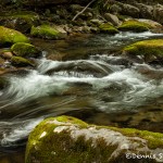 5305 Cascade, Spring, Great Smoky Mountains National Park, TN
