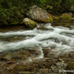 5306 Cascade, Spring, Great Smoky Mountains National Park, TN