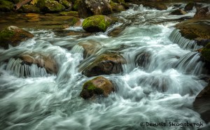 5307 Cascade, Spring, Great Smoky Mountains National Park, TN