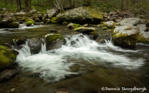 5310 Cascade, Sam's Creek, Spring, Great Smoky Mountains National Park, TN