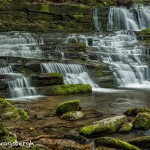 5313 Spring, Rhododendron Creek Waterfall, Great Smoky Mountains National Park, TN
