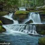 5318 Cascade, Spring, Great Smoky Mountains National Park, TN