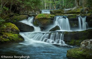 5318 Cascade, Spring, Great Smoky Mountains National Park, TN