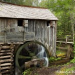 5321 Grist Mill, Cade's Cove, Spring, Great Smoky Mountains National Park, TN