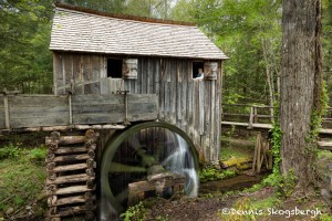 5321 Grist Mill, Cade's Cove, Spring, Great Smoky Mountains National Park, TN