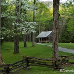 5323 Carter Shield's Cabin, Spring, Great Smoky Mountains National Park, TN