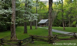 5323 Carter Shield's Cabin, Spring, Great Smoky Mountains National Park, TN