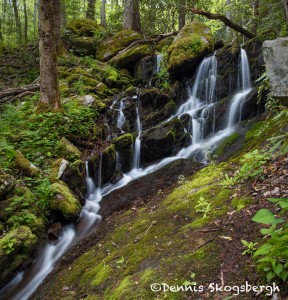 5329 Waterfall, Spring, Great Smoky Mountains National Park, TN
