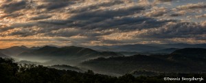 5330 Sunrise, Spring, Great Smoky Mountains National Park, TN