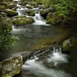 5331 Cascade, Spring, Great Smoky Mountains National Park, TN