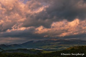 5350 Sunrise, Spring, Great Smoky Mountains National Park, TN