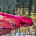 5380 Kayaks, Colter Bay Village Marina, Grand Teton National Park, WY