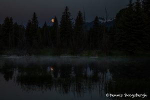 5394 Setting Moon at Schwabacher's Landing, Grand Teton National Park, WY