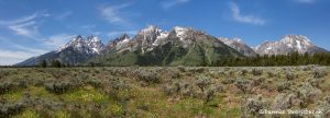 5398 Teton Panorama, Grand Teton National Park, WY