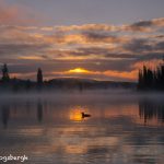 5449 Foggy Sunrise, Lac Le Jeune, BC