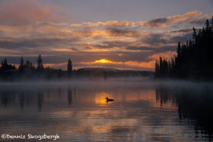 5449 Foggy Sunrise, Lac Le Jeune, BC