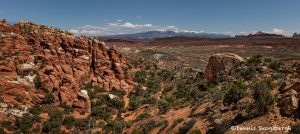 5455 Fiery Furnace Viewpoint, Arches NP, UT