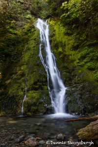 5482 Madison Falls, Olympic National Park, WA