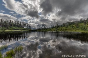 5485 Picture Lake, North Cascades National Park, WA