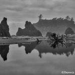 5505 Cloudy Morning, Ruby Beach, Olympic National Park, WA