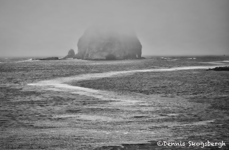 5516 Foggy Morning, Mouth Of Quileute River, La Push, Wa - Dennis 