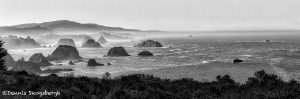 5571 Foggy Morning, Elk, California