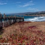 5589 Coastal View, Sea Ranch, California