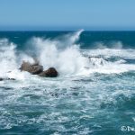 5592 Coastal View, Salt Point State Park, Cazadero, California