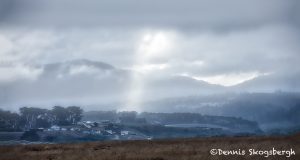 5599 Breaking Storm on Foggy Morning, Point Arena, California