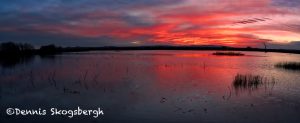 5695 Sunrise, Bosque del Apache NWR, New Mexico