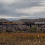 5748 Train, Trestle, Bosque del Apache NWR, New Mexico