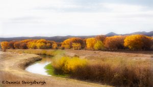 5753 November Colors, Bosque del Apache NWR, New Mexico