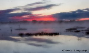 5762 Foggy Sunrise, Bosque de Apache NWR, New Mexico