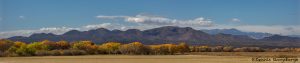 5763 November Colors, Bosque del Apache NWR, New Mexico