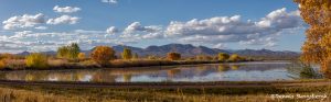 5765 November Colors, Bosque del Apache NWR, New Mexico
