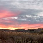 5784 Sunset, Bosque del Apache NWR, New Mexico