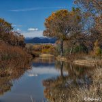 5786 November Colors, Bosque del Apache NWR, New Mexico