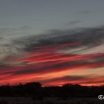 5796 Sunrise, Bosque del Apache NWR, New Mexico