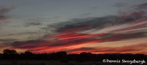 5796 Sunrise, Bosque del Apache NWR, New Mexico